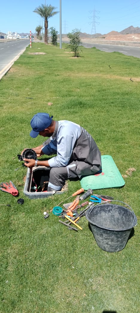 صورة المشروع