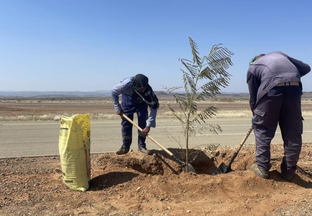 صورة المشروع