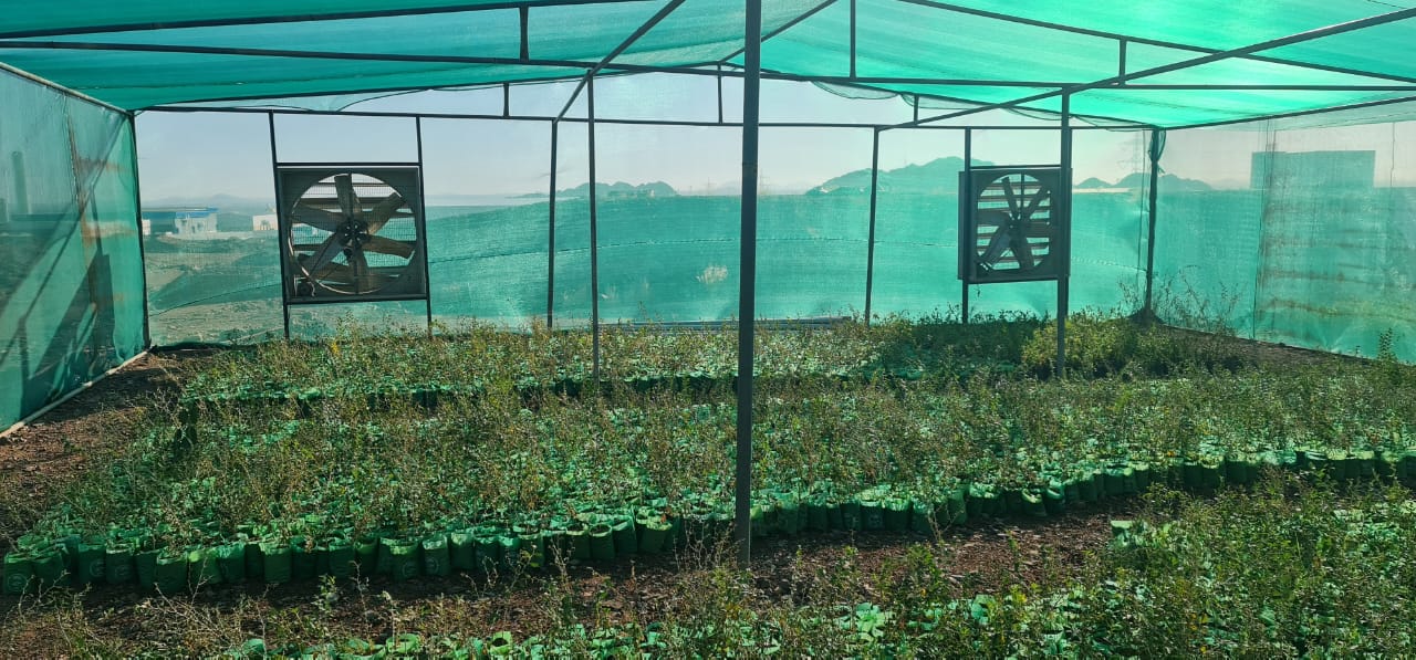 صورة المشروع