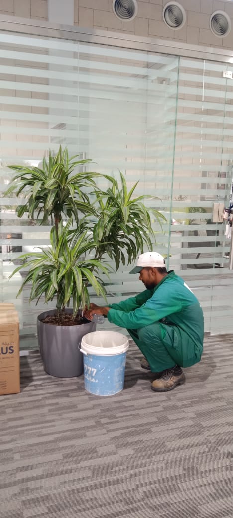 صورة المشروع